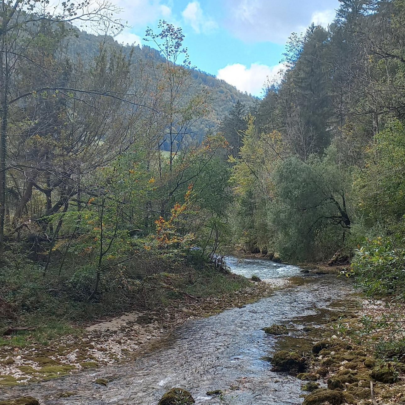 Fluss und Berge