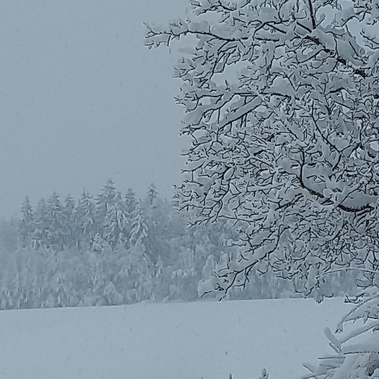 Winterlandschaft