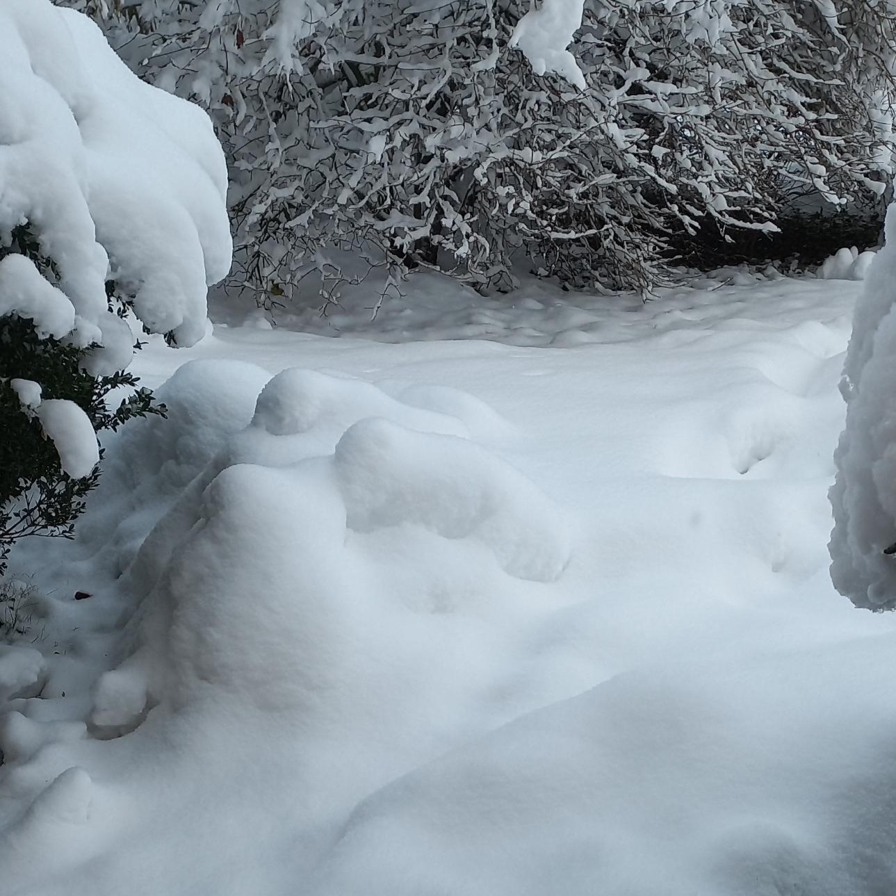 Winterlandschaft