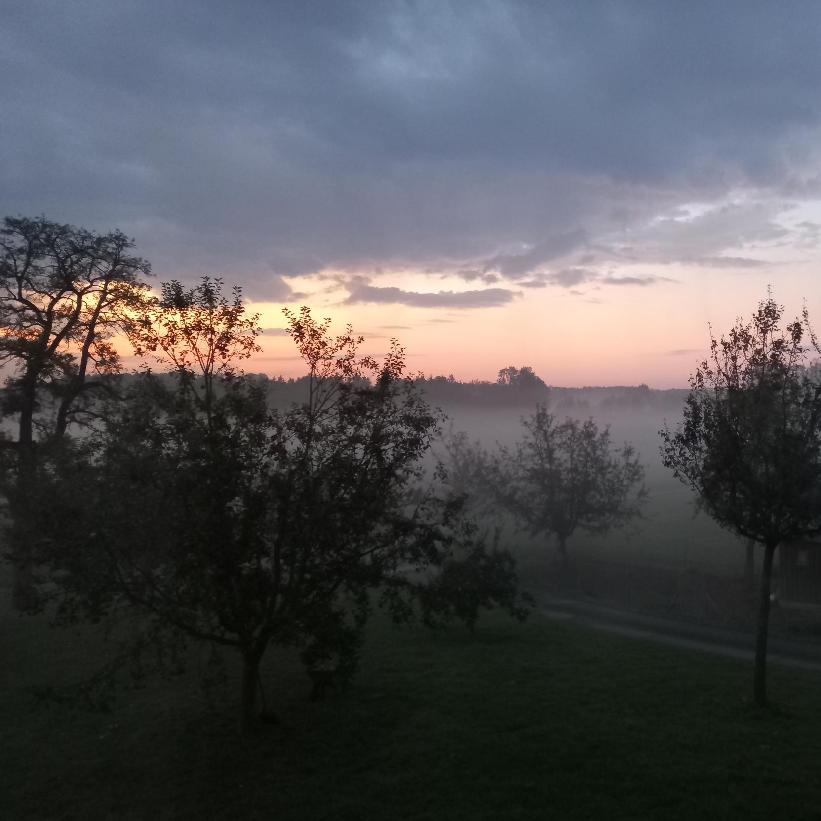 Sonnenaufgang mit Nebel